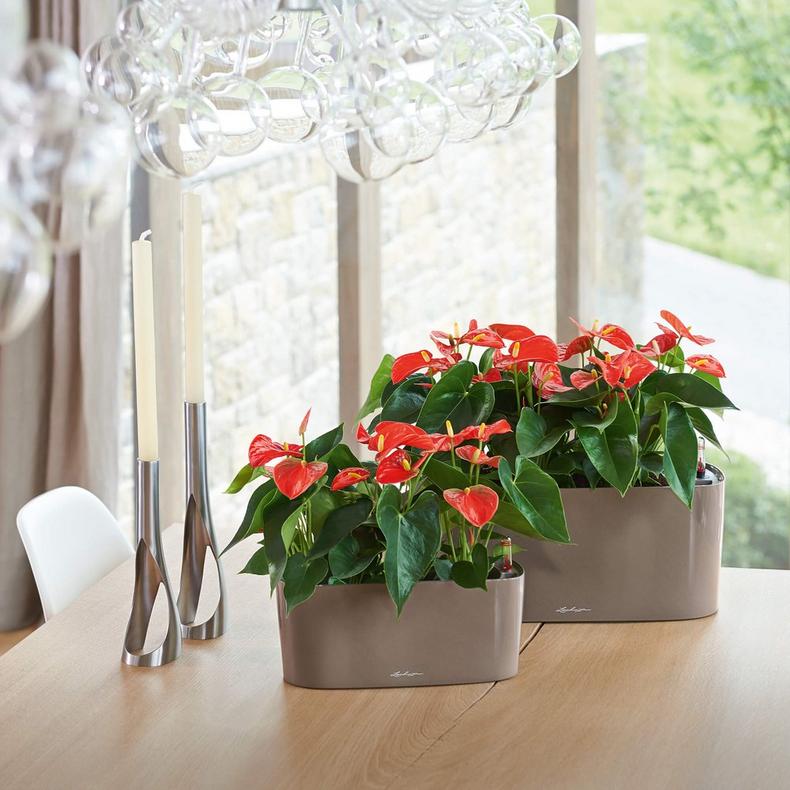 le_delta10_product_addi_01