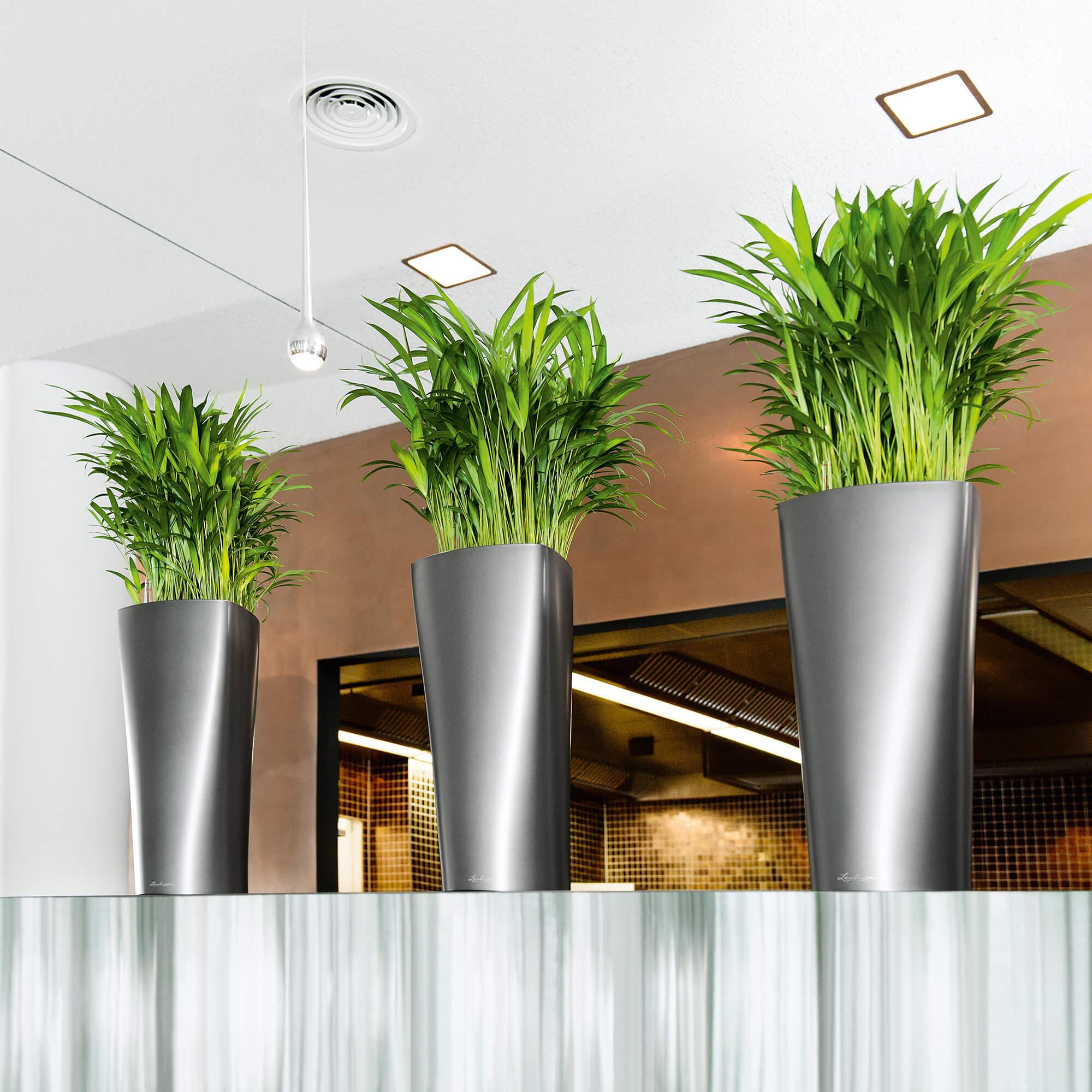 Delta 30 White High Gloss Less frequent watering and better plant growth! lechuza