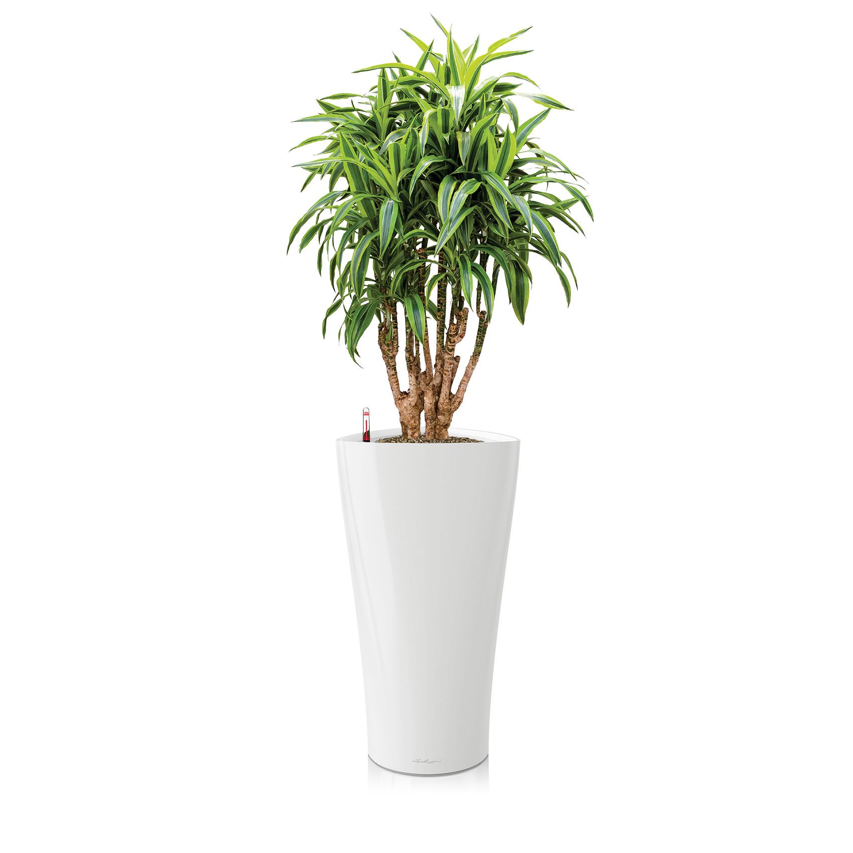 DELTA Premium 30 blanc brillant