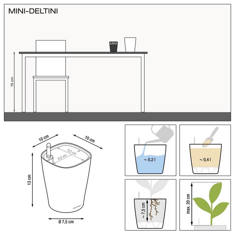 le_deltini-10_product_addi_nz