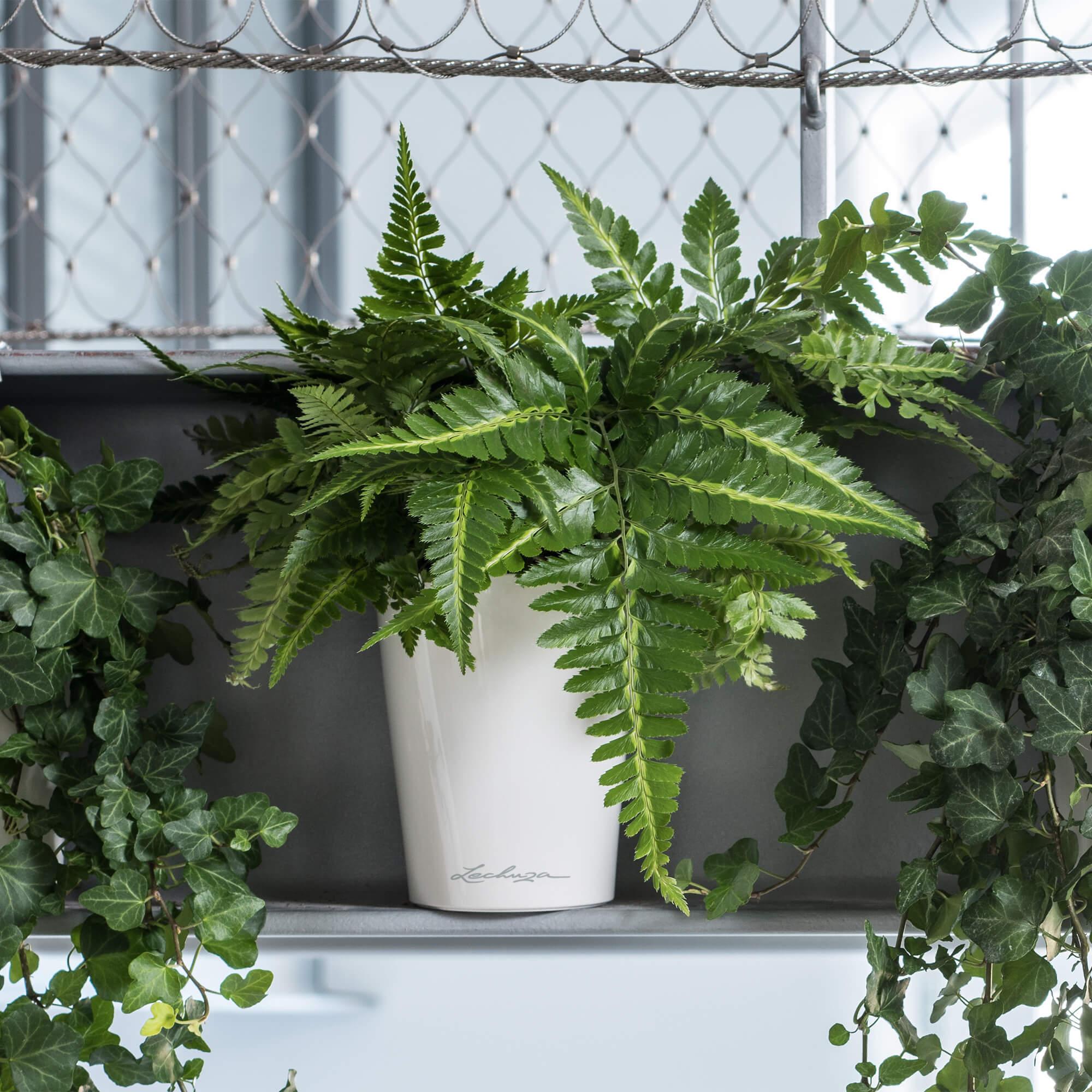 le_deltini-14_product_addi_02