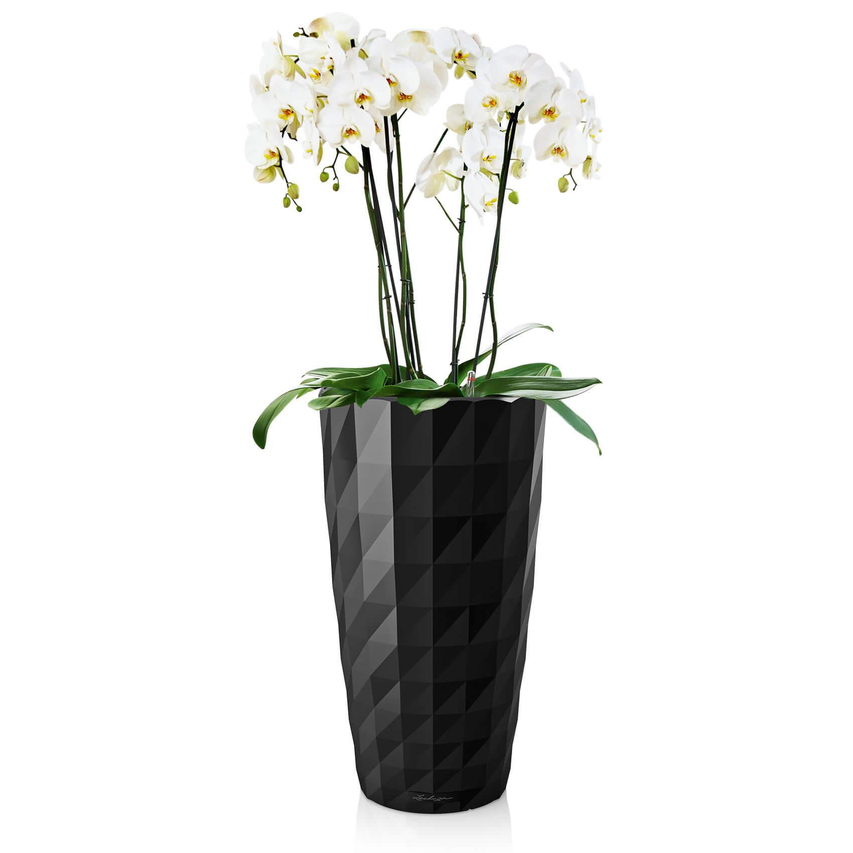 DIAMANTE Premium 40 schwarz hochglanz