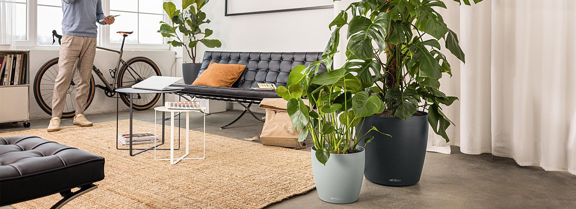 Sustainable and recycled: planters from LECHUZA. Greener living every day