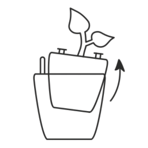 herausnehmbarer Pflanzeinsatz