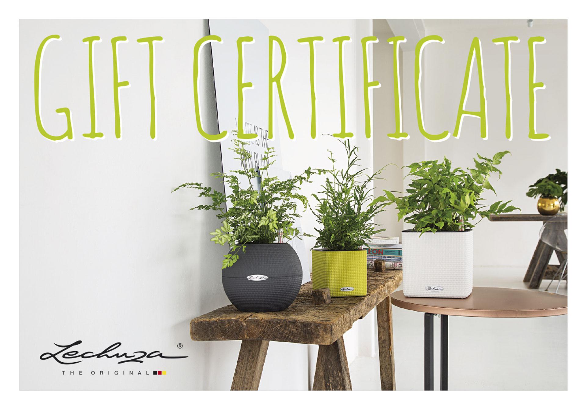 LECHUZA Gift Certificate