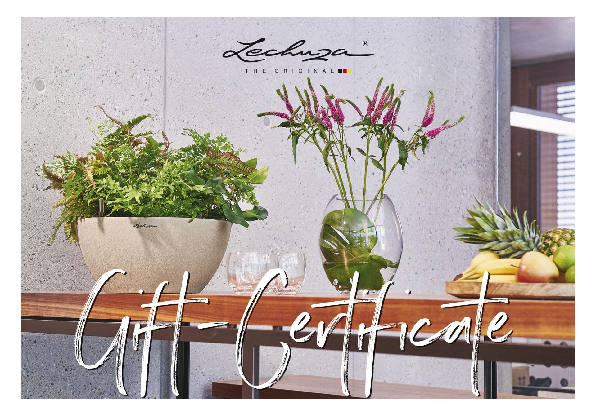 LECHUZA Gift Certificate