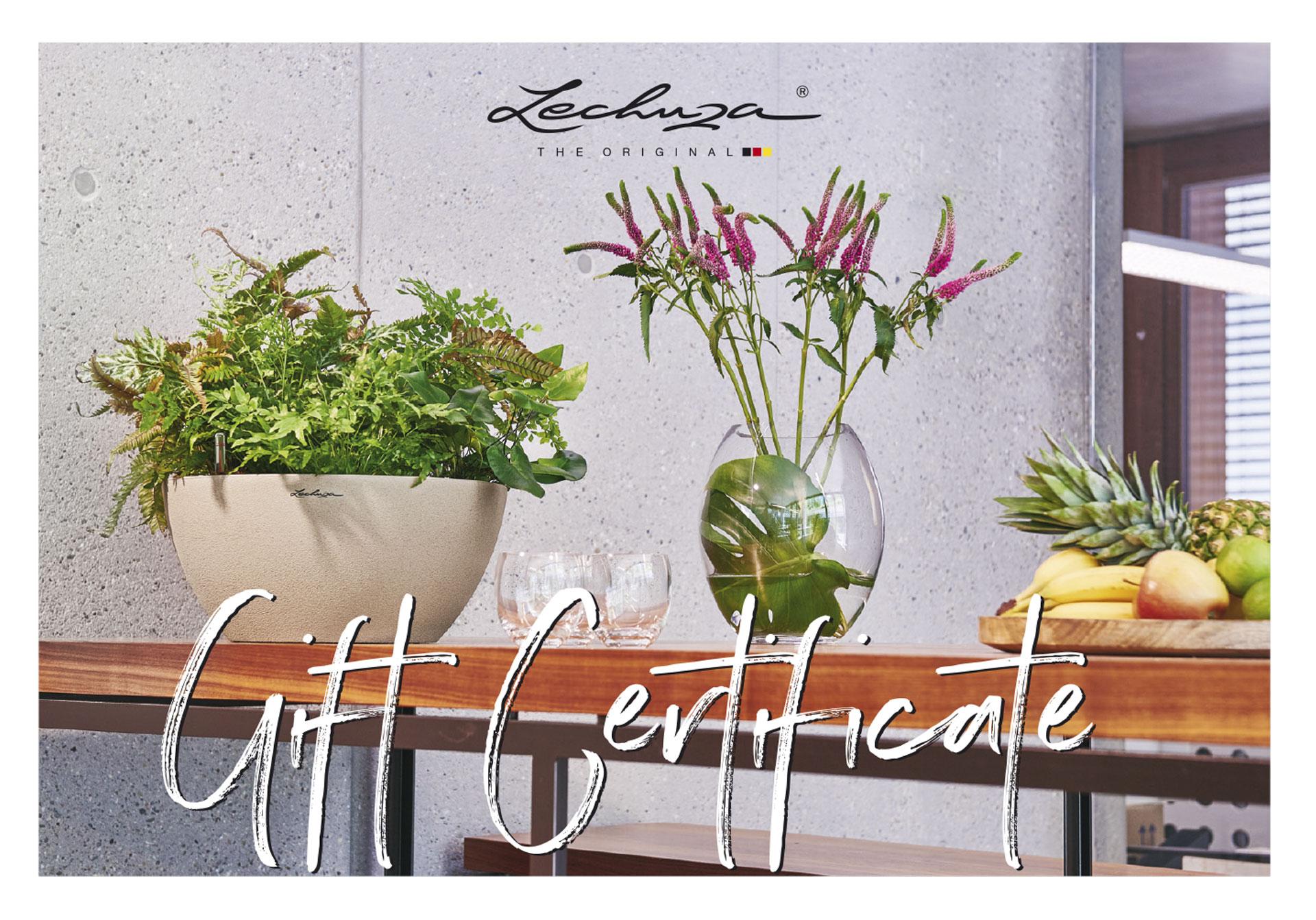 LECHUZA Gift Certificate