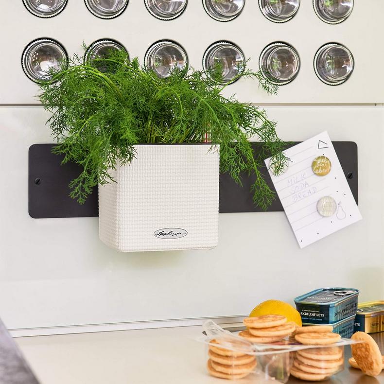 le_green-wall-color_product_addi_01