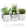 Green Wall Home Kit Color white additional thumb 1