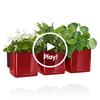 Green Wall Home Kit Glossy rouge scarlet ultra brillant additional thumb 1