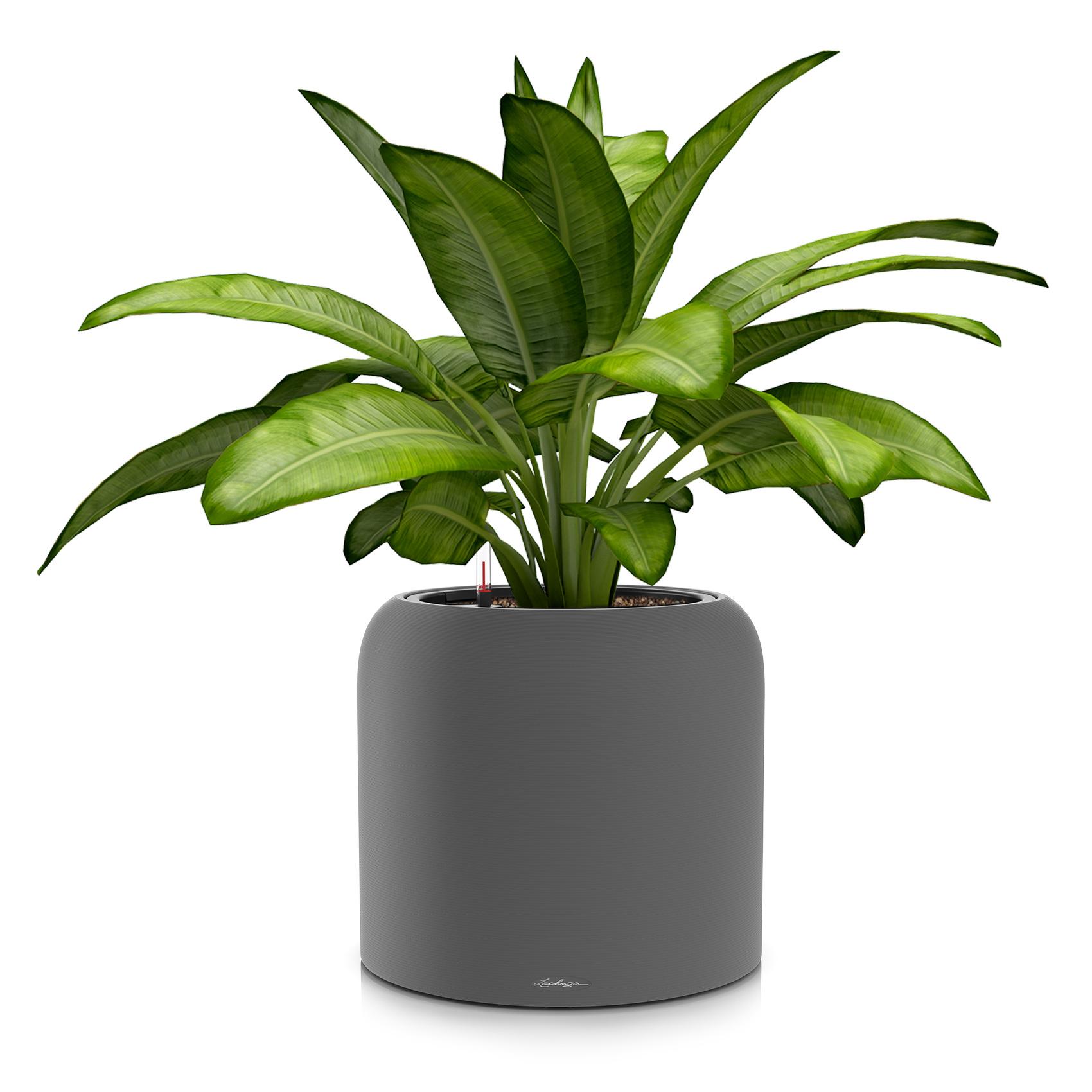 HAVALO 60 basalt grey