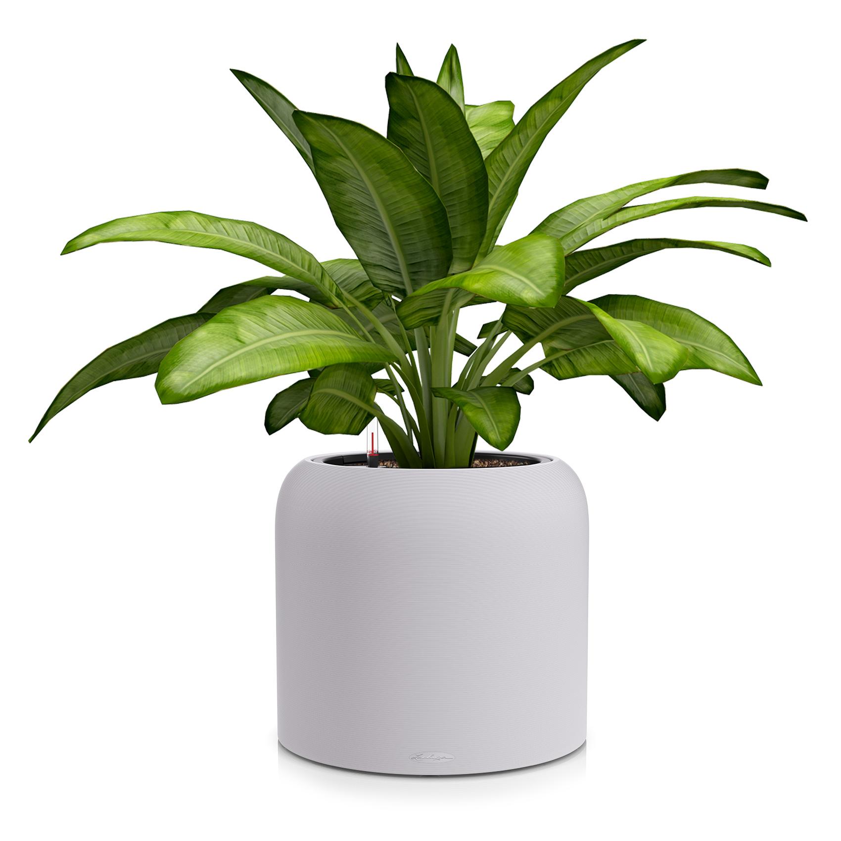 HAVALO 60 moon grey