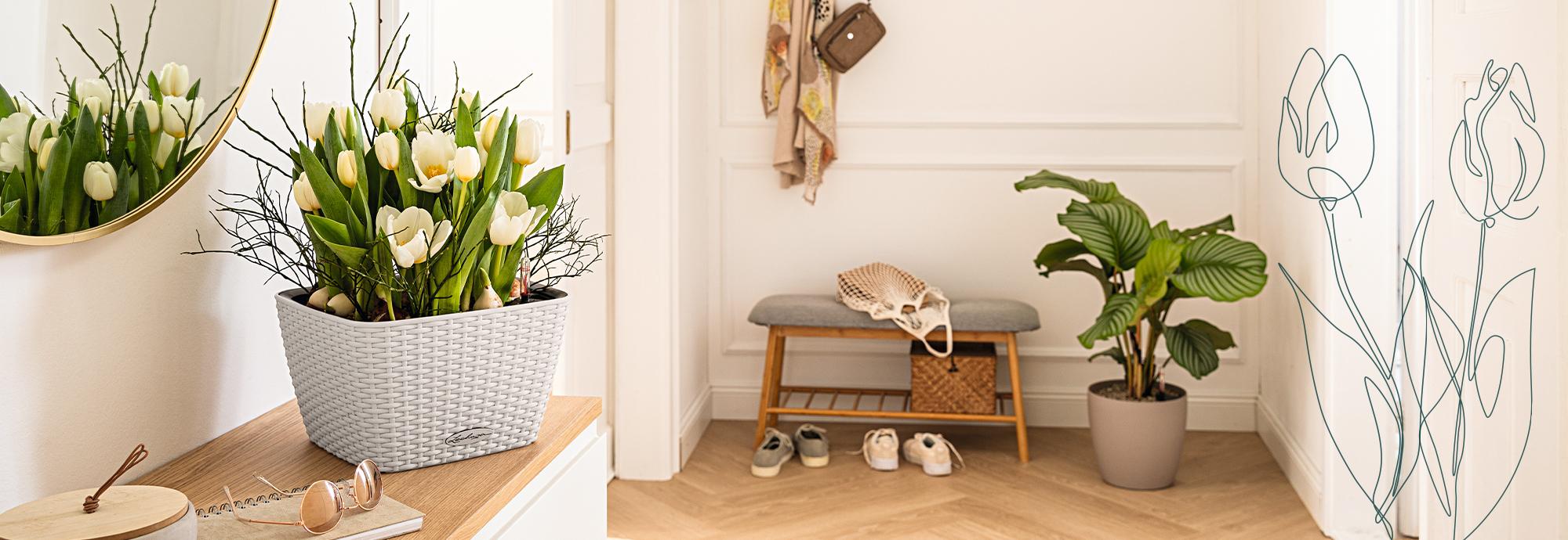 Spring fever at home with LECHUZA