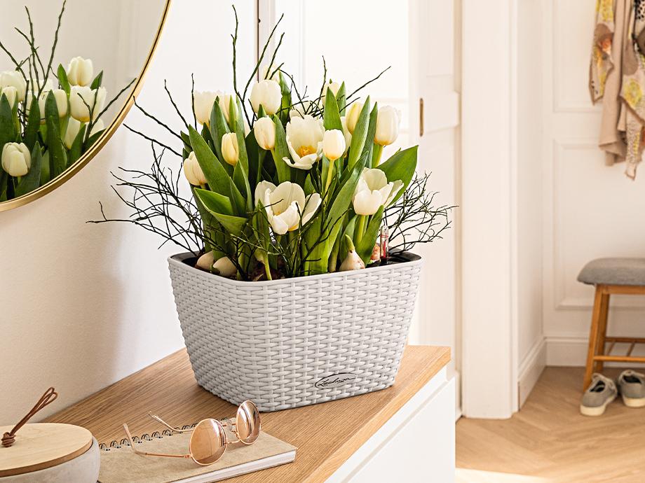 Spring fever at home with LECHUZA