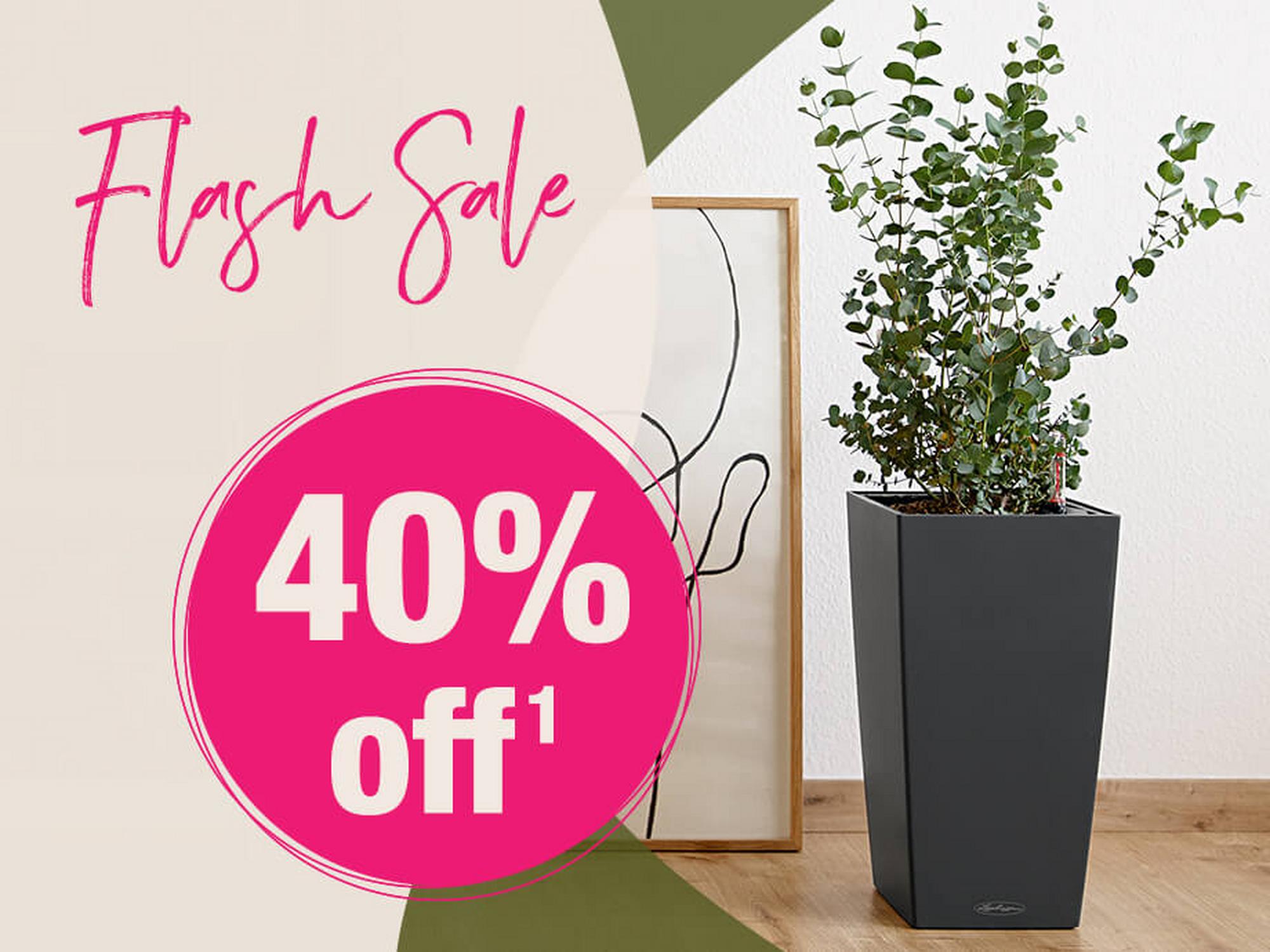 FLASH SALE - 40% off all