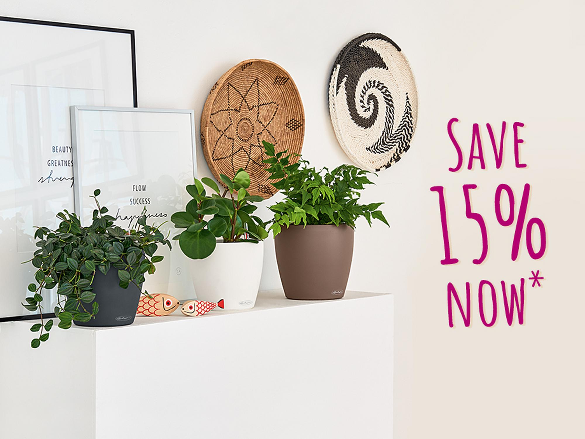 Save 15% now - Free UK Mainland Delivery* + Exclusive Planting Instruction*