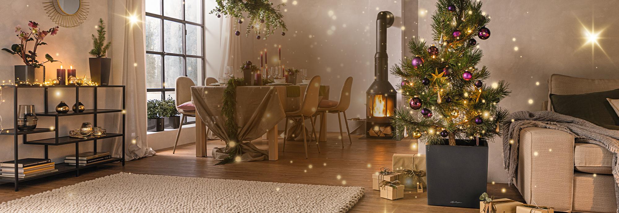Enhance your home for a very special Christmas