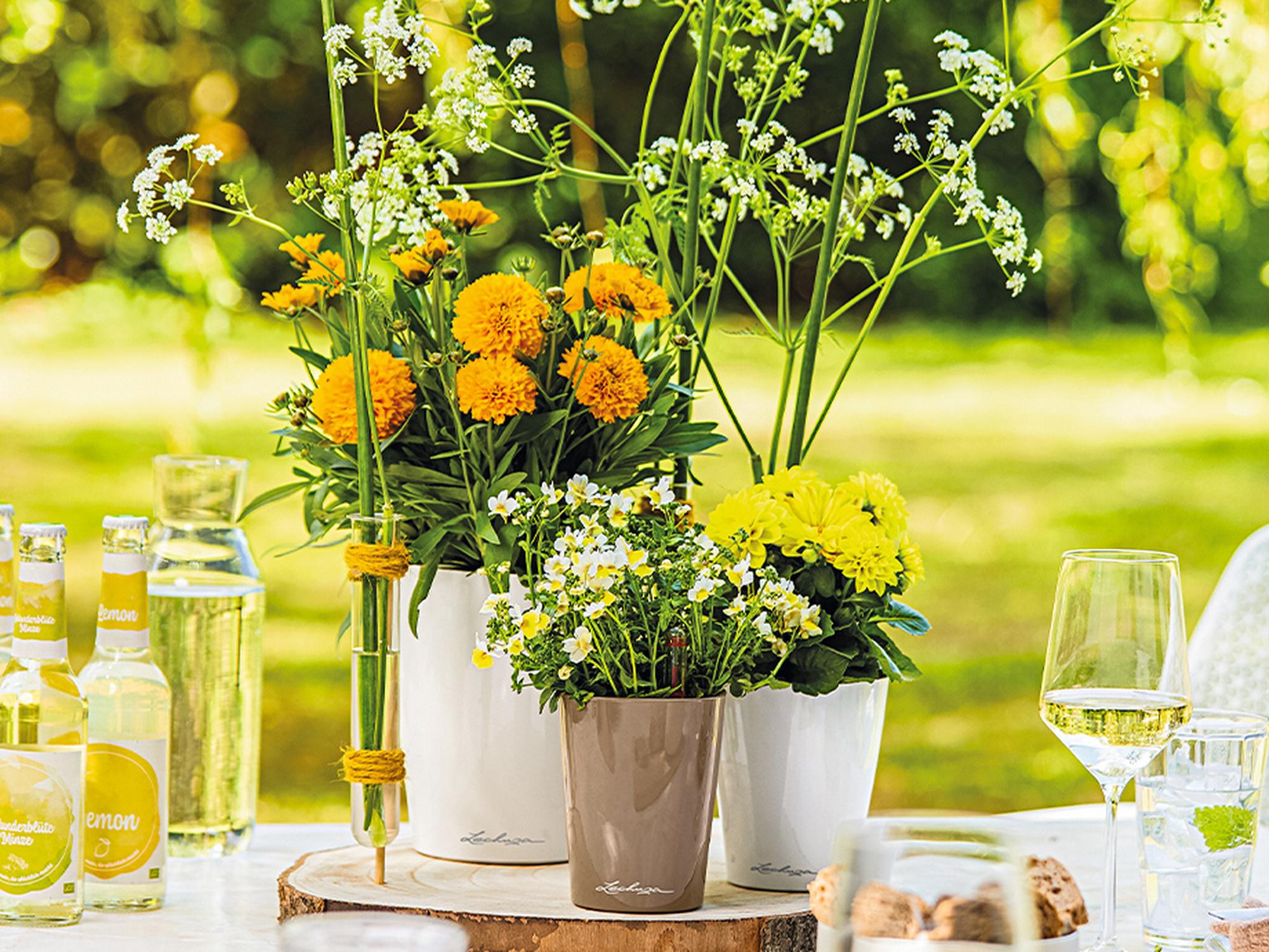 Decoración de la mesa en primavera: ¡Disfruta al aire libre!