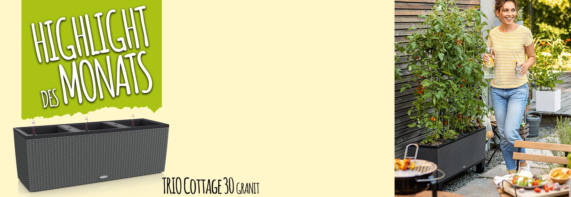 Catch of the Month: 15 Prozent sparen beim Kauf von TRIO Cottage 30 granit