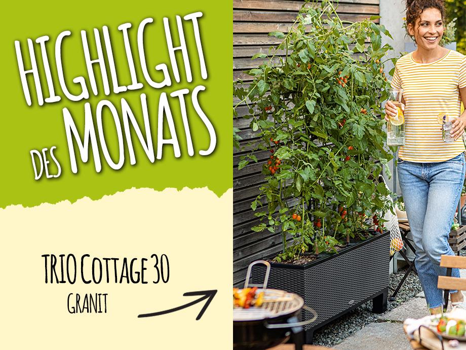 Catch of the Month: 15 Prozent sparen beim Kauf von TRIO Cottage 30 granit