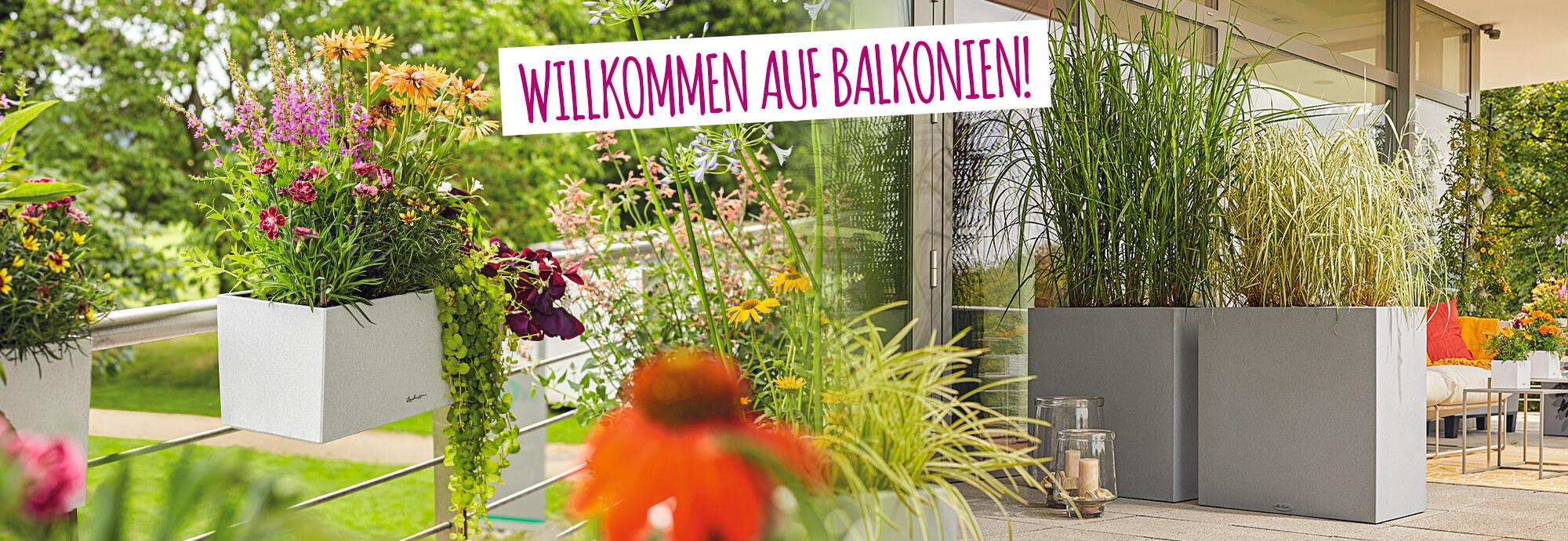 Willkommen auf Balkonien: 15% Rabatt auf Blumenkästen
