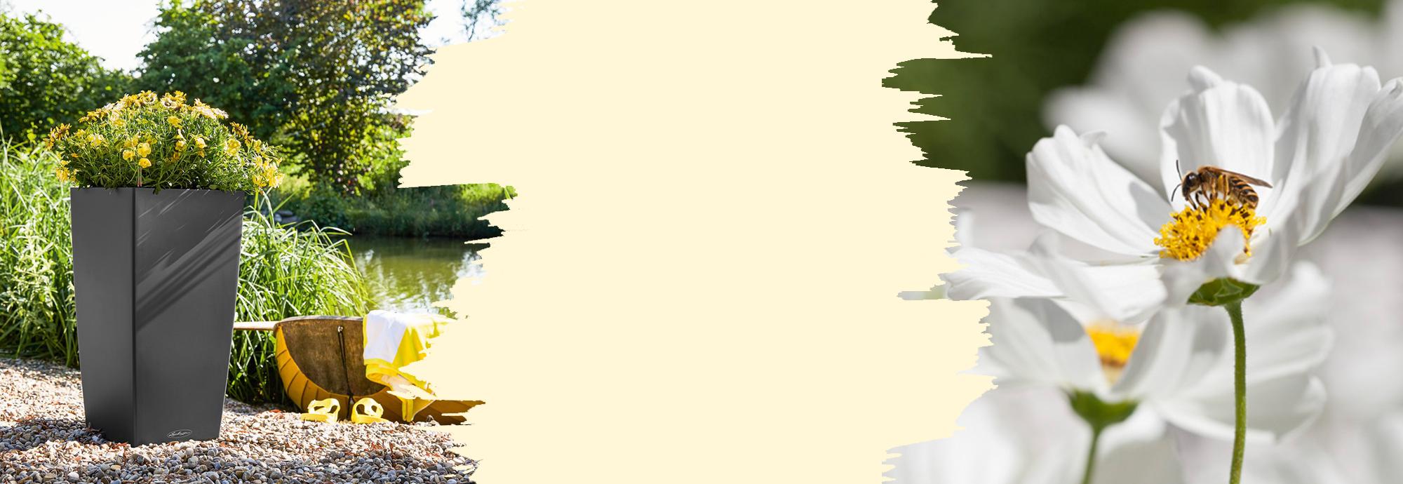 hero_banner_cubico_color_2020