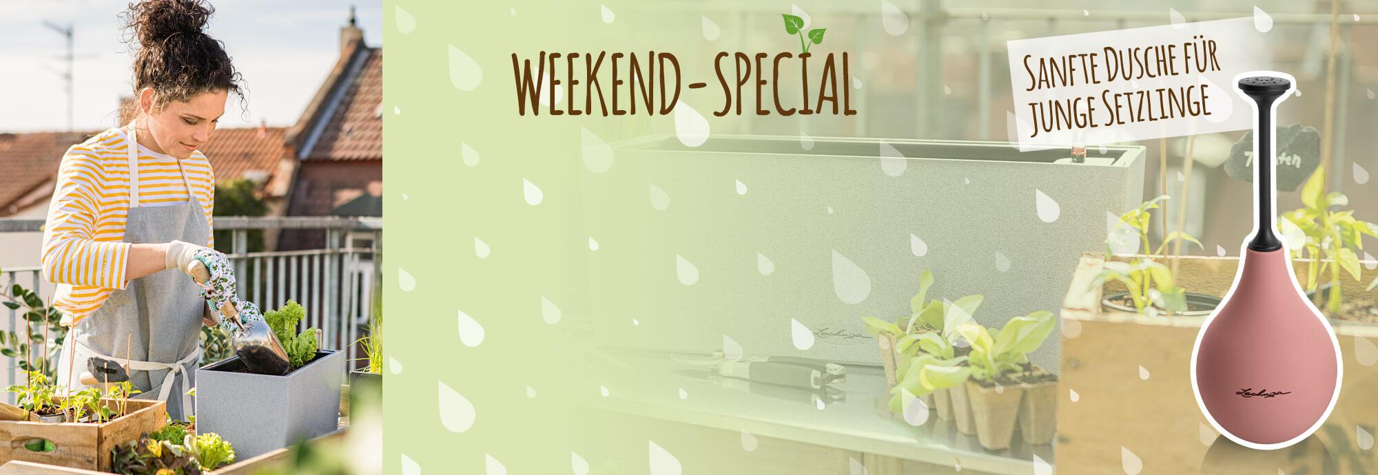 Weekend-Special: Flowershower gratis zu jeder Bestellung ab 65 €