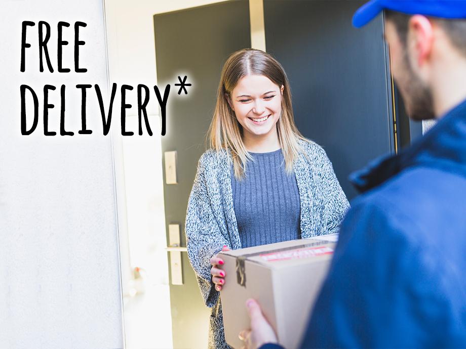Wife receives a package at the front door. On the left of the picture you can see two LECHUZA CILINDROs