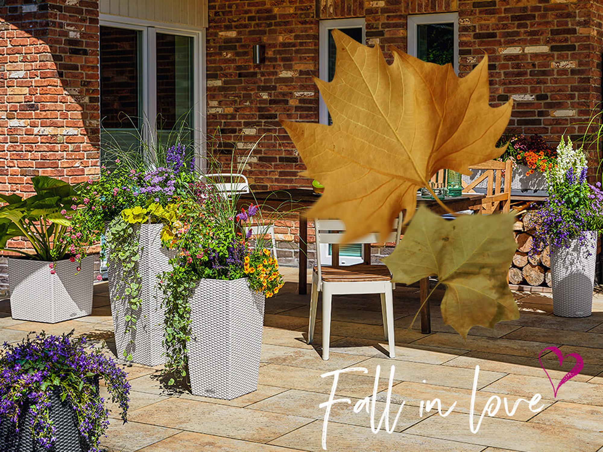 Fall in Love: Enjoy fall with LECHUZA Cottage.