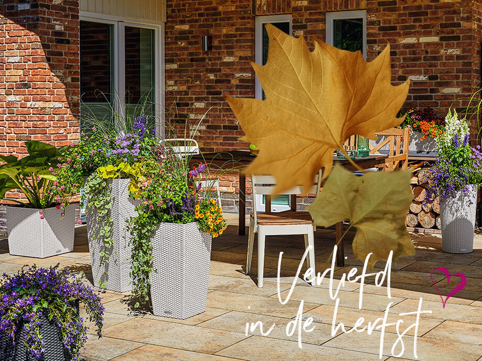 Verliefd in de herfst : Geniet van het gouden seizoen
met LECHUZA Cottage