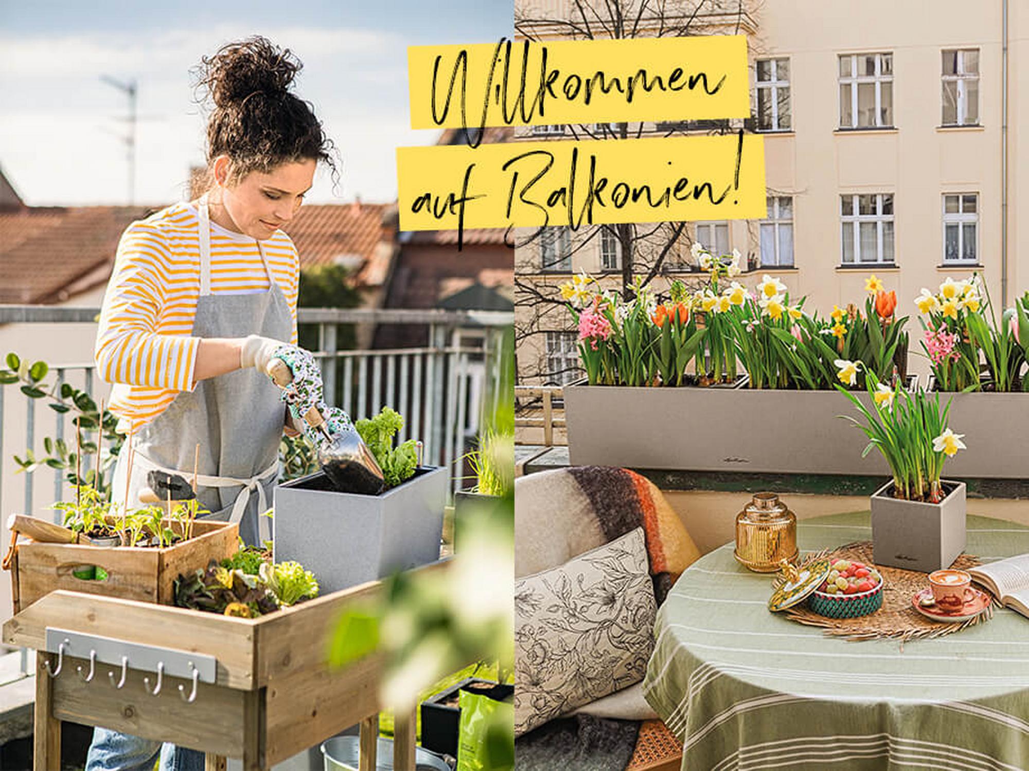 Willkommen auf Balkonien!
15% Rabatt auf Blumenkästen