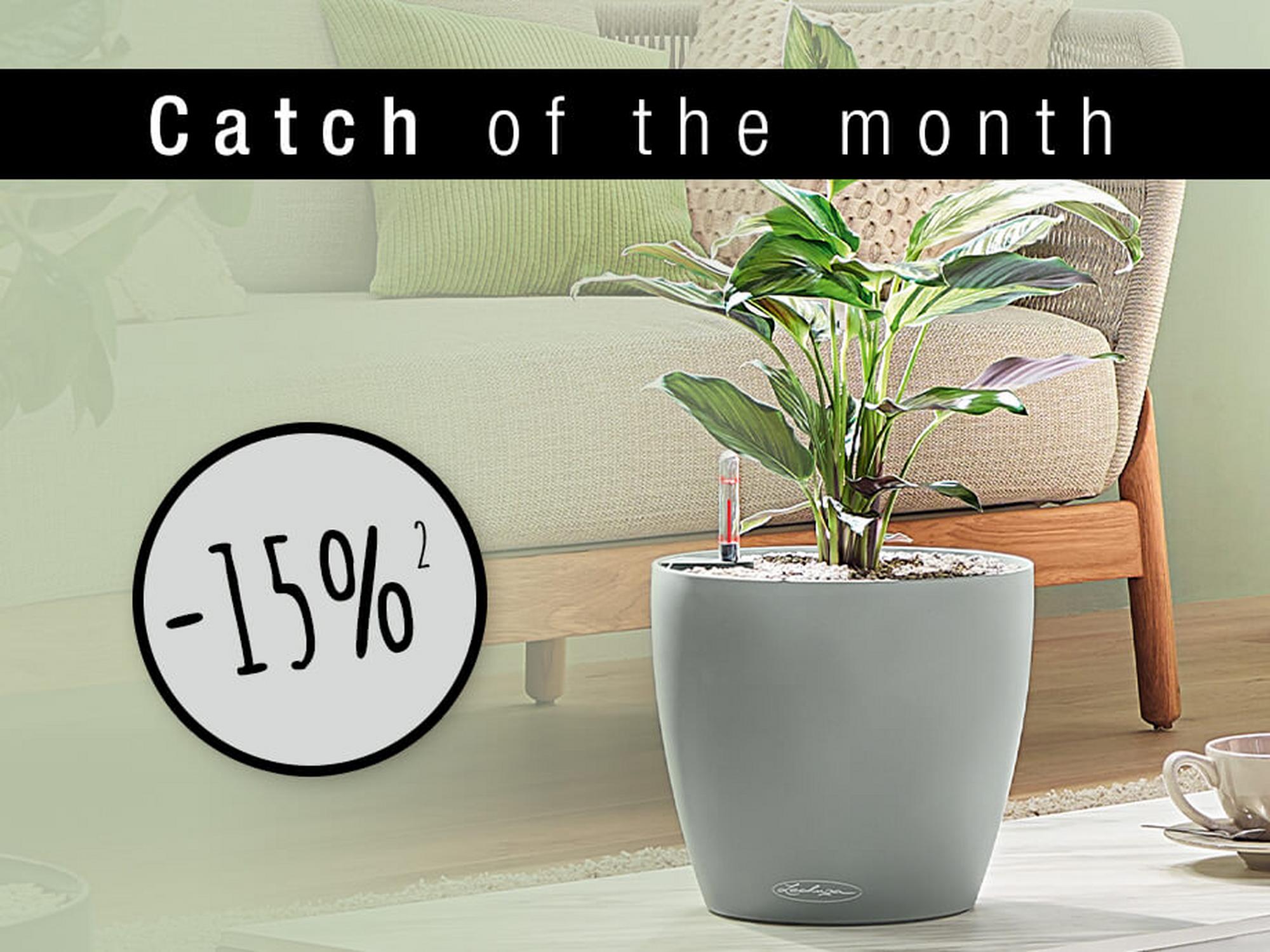 Catch of the month: 15% korting op CLASSICO Color ECO 35 lichtgrijs (Art.-Nr. 18930)