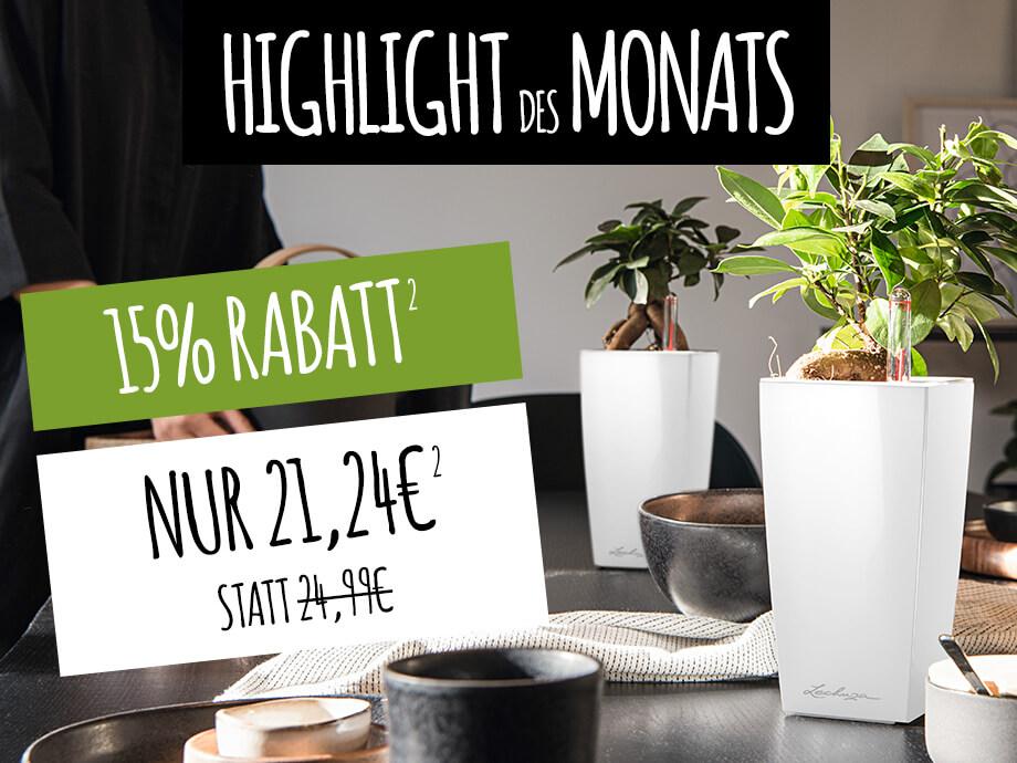 Pflanzgefäße mit Bewässerung jetzt online kaufen LECHUZA