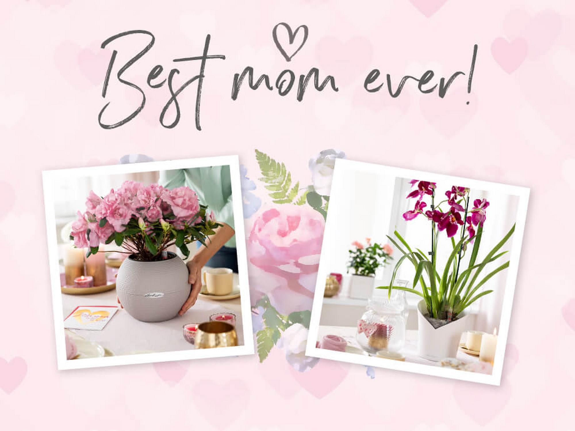 Идеи и предложения для идеального подарка на День Матери