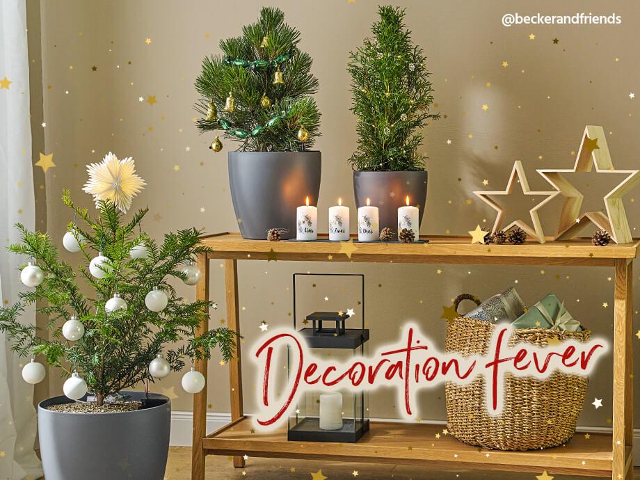 Scent of fir trees & candlelight: enjoy winter with LECHUZA