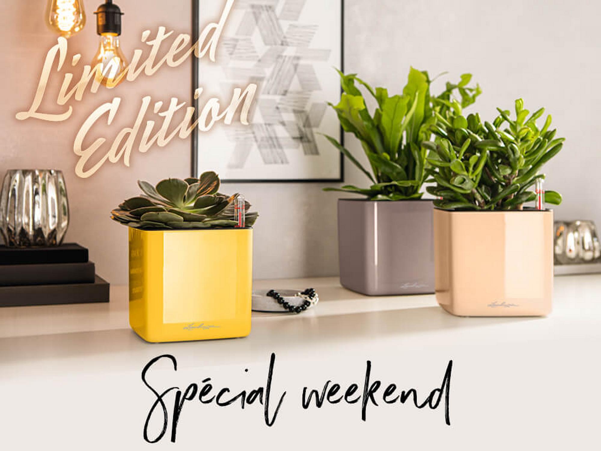 'Weekend-Special: CUBE Glossy 14 "Limited Edition" 14€ seulement au lieu de 21