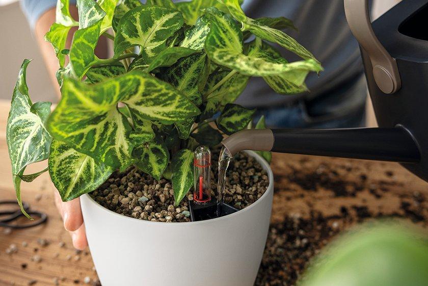 PILA
        Storage und Planter bieten kreative Gestaltungsm&ouml;glichkeiten am
        Arbeitsplatz