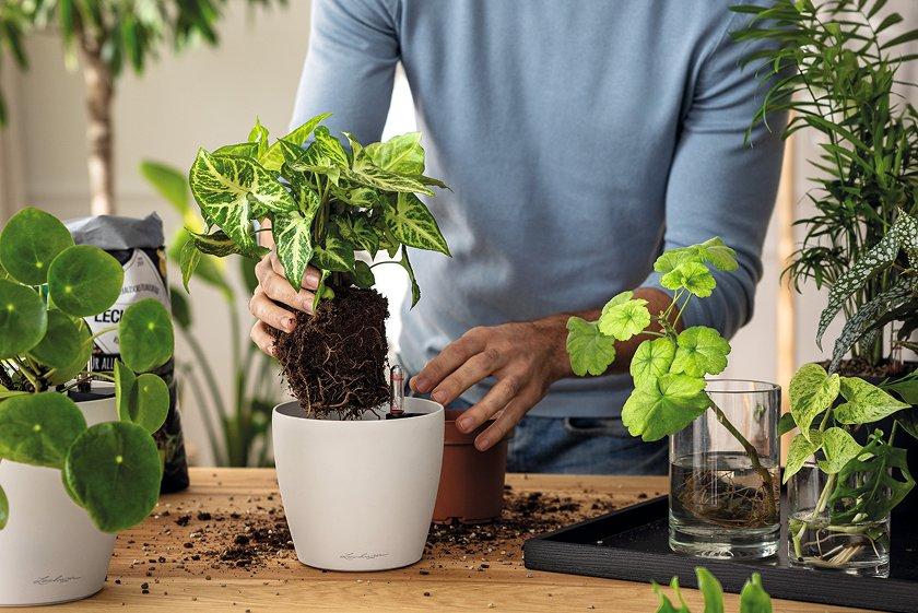 Mann
        stapelt PILA Storage in schiefergrau und PILA Planter in lichtgrau
        aufeinander