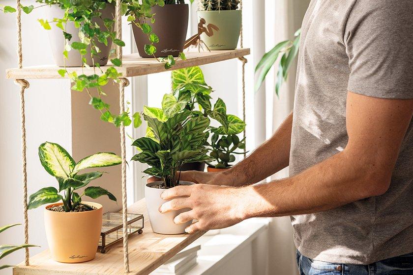 PILA
        Storage und Planter bieten kreative Gestaltungsm&ouml;glichkeiten am
        Arbeitsplatz