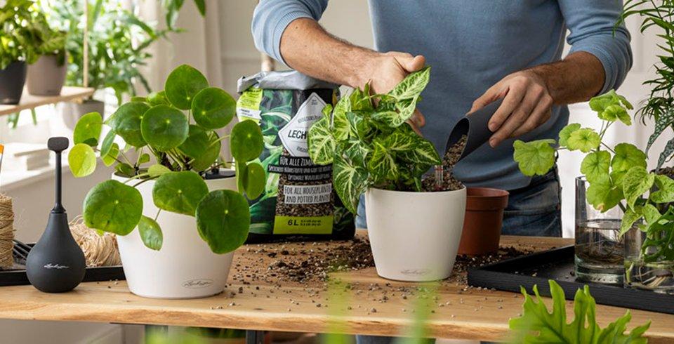 &Tau;έ&sigma;&sigma;&epsilon;&rho;&iota;&sigmaf; &sigma;&upsilon;&mu;&beta;&omicron;&upsilon;&lambda;έ&sigmaf; &alpha;&pi;ό &epsilon;&iota;&delta;&iota;&kappa;&omicron;ύ&sigmaf; &gamma;&iota;&alpha; &tau;&eta; &sigma;&omega;&sigma;&tau;ή
    &phi;&rho;&omicron;&nu;&tau;ί&delta;&alpha; &tau;&omega;&nu; &phi;&upsilon;&tau;ώ&nu;