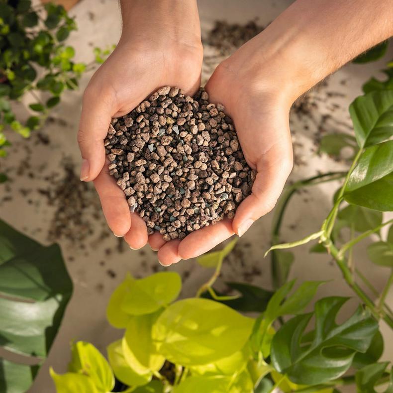 le_lechuza-pon_product_addi_02