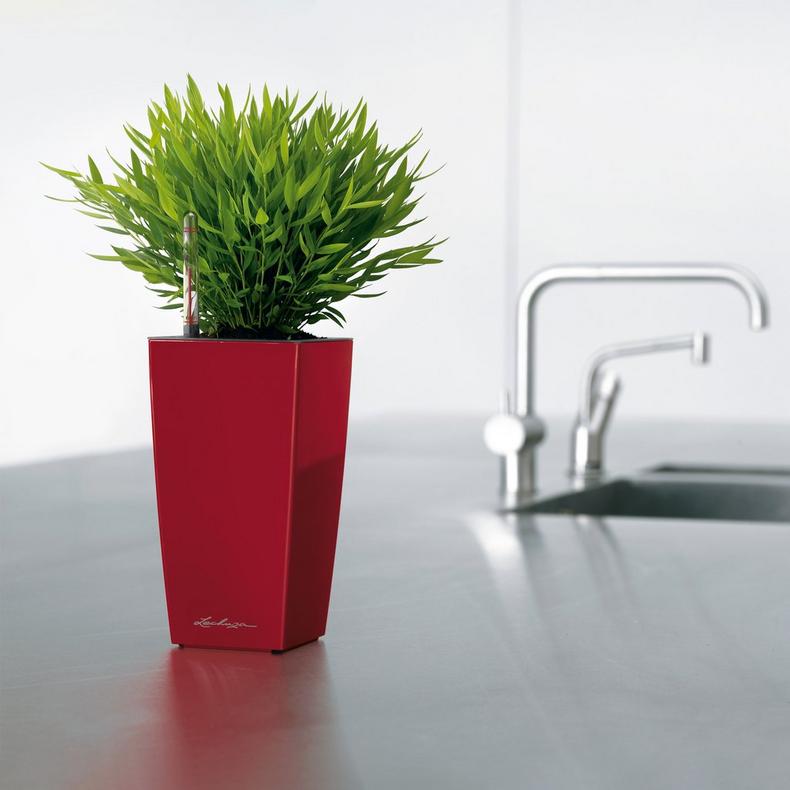 le_maxicubi_product_addi_03