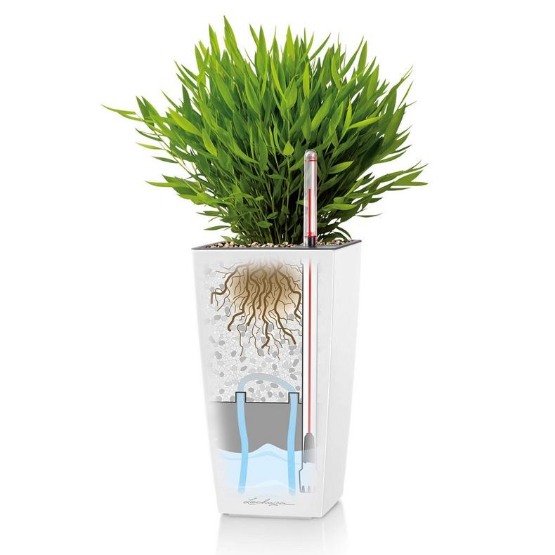 le_maxicubi_product_addi_sws