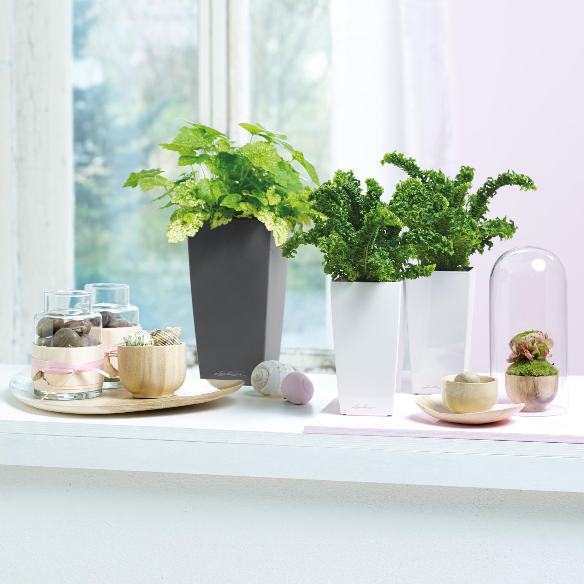 le_minicubi_product_addi_01