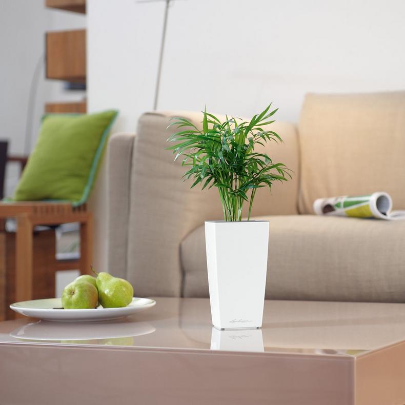 le_minicubi_product_addi_02