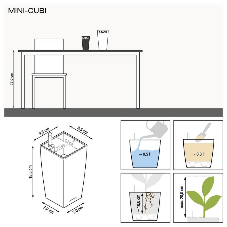 le_minicubi_product_addi_nz