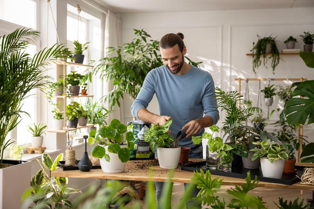 Tips for a green workplace
