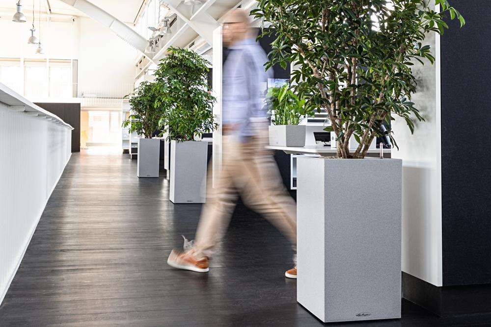 Tips for a green workplace