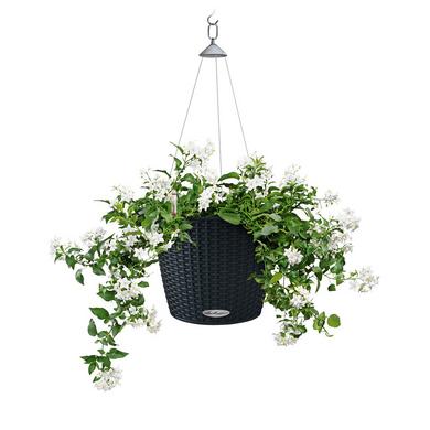 NIDO Cottage 28 graphite black