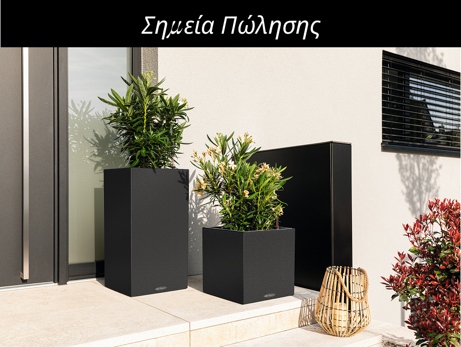 &Beta;&rho;&epsilon;ί&tau;&epsilon; &epsilon;&delta;ώ &kappa;&alpha;&tau;&alpha;&sigma;&tau;ή&mu;&alpha;&tau;&alpha; &kappa;&alpha;&iota;
        &phi;&upsilon;&tau;ώ&rho;&iota;&alpha; &mu;&epsilon; &mu;&epsilon;&gamma;ά&lambda;&eta; &sigma;&upsilon;&lambda;&lambda;&omicron;&gamma;ή &sigma;&epsilon; &pi;&rho;&omicron;ϊό&nu;&tau;&alpha; LECHUZA